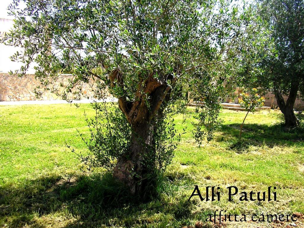 Allipatuli Gallipoli